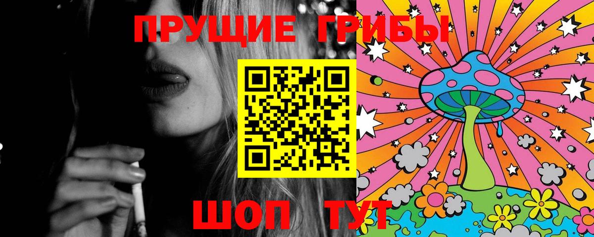 Псилоцибиновые грибы Psilocybe  Вход с VPN  Малоярославец 
